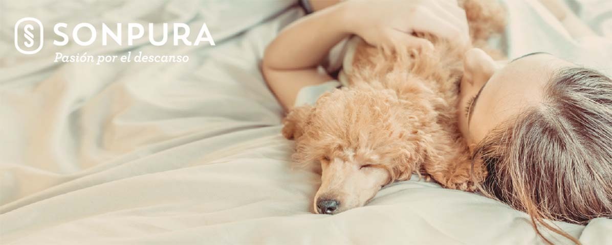 Leer más: Dormir con tu mascota. ¿Es bueno o malo?