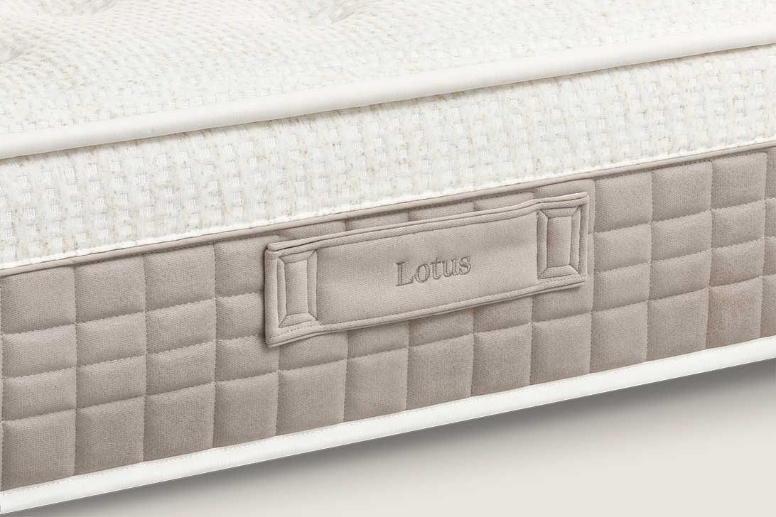 Lotus